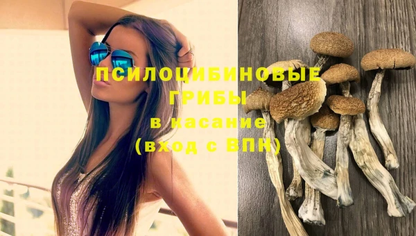 МДПВ Белоозёрский