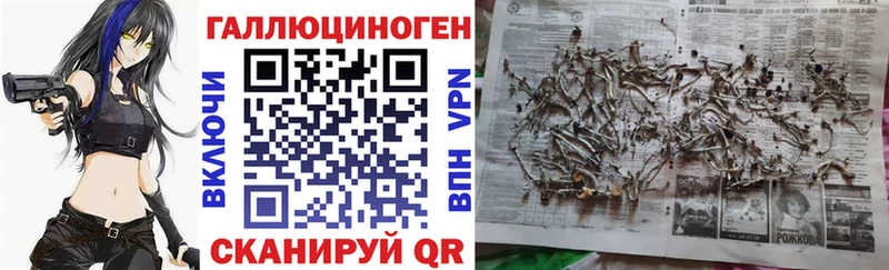 купить наркотик  Нерюнгри  Галлюциногенные грибы прущие грибы 